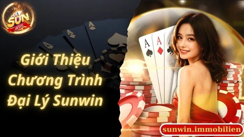 Khái quát chung các thông tin giới thiệu về đại lý Sunwin